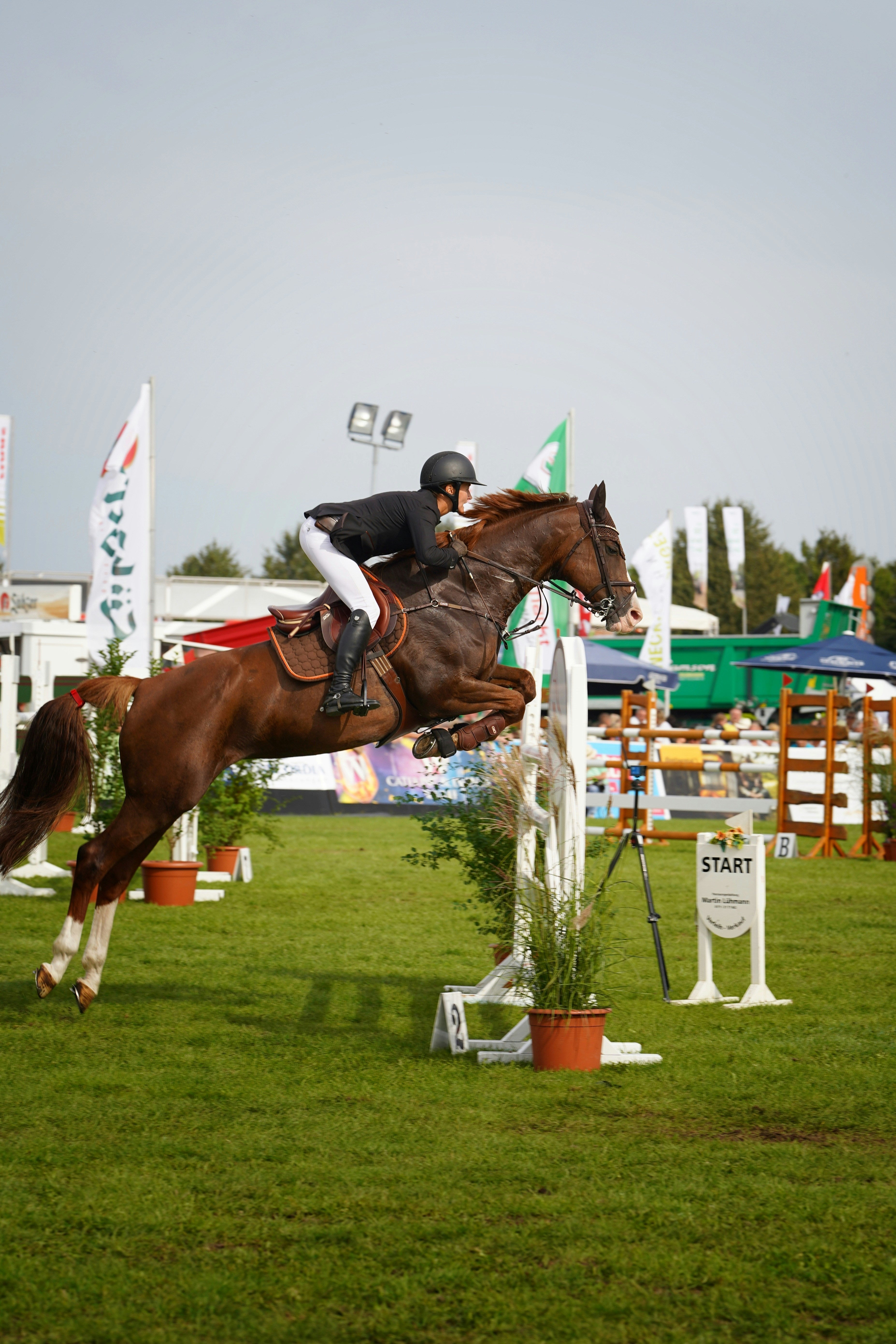 Stud Selection: Choosing the Right Stud for Every Surface