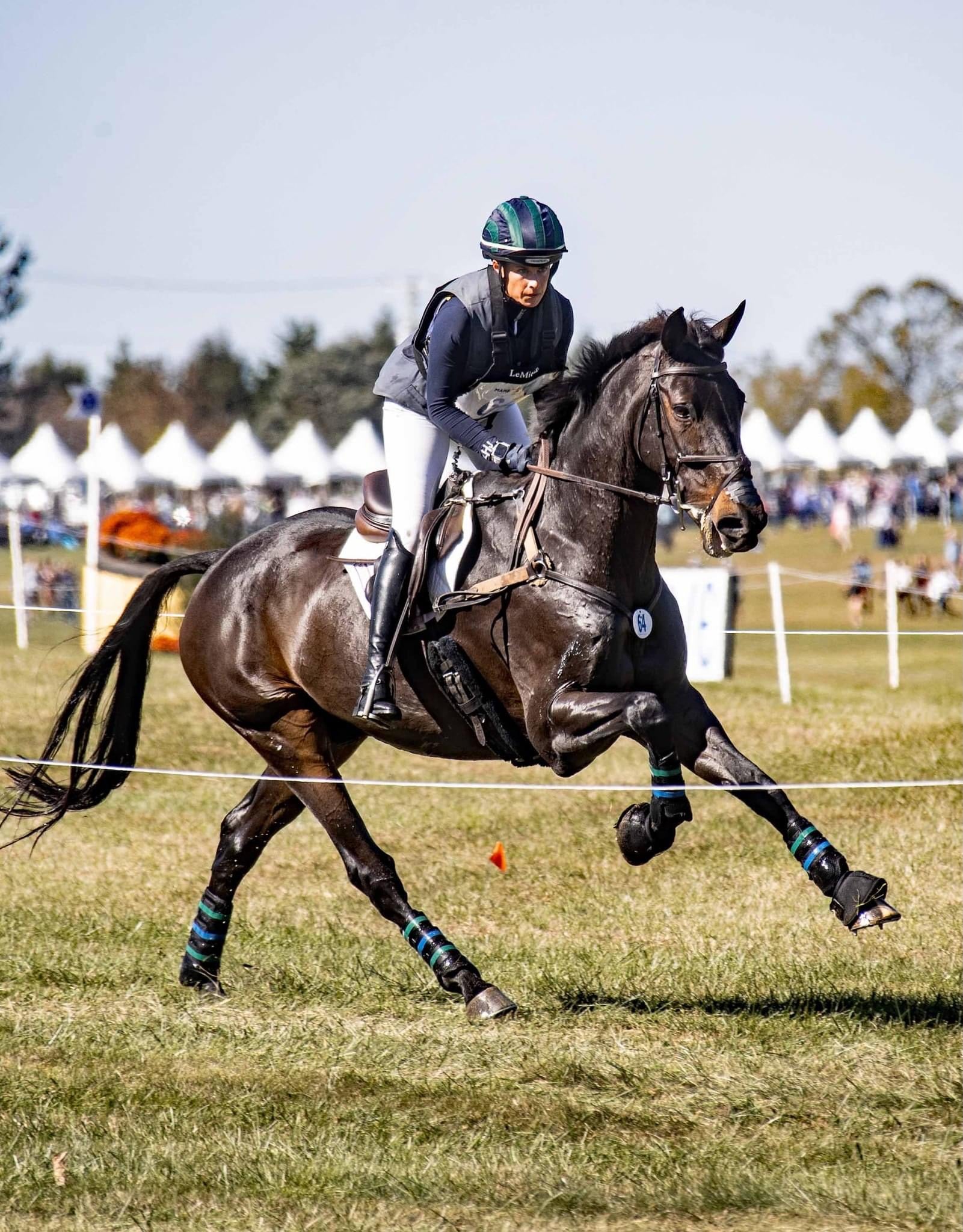 Horse and rider in an equestrian event with tents and spectators in the background