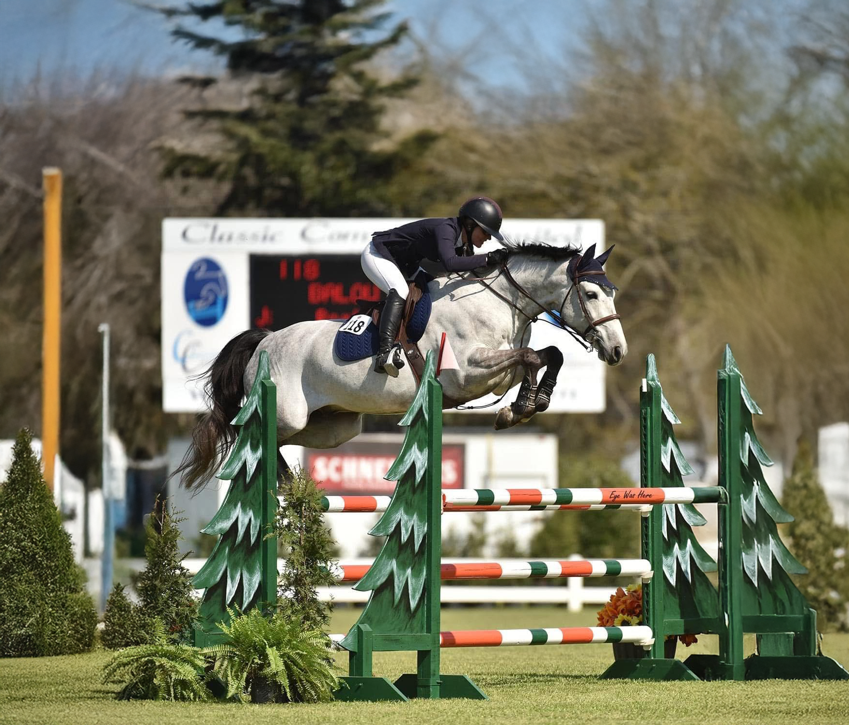 Horse and rider jumping over an obstacle with trees