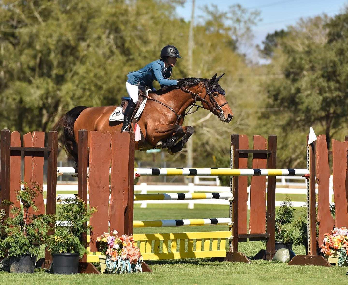 Horse and rider jumping over an obstacle in competition