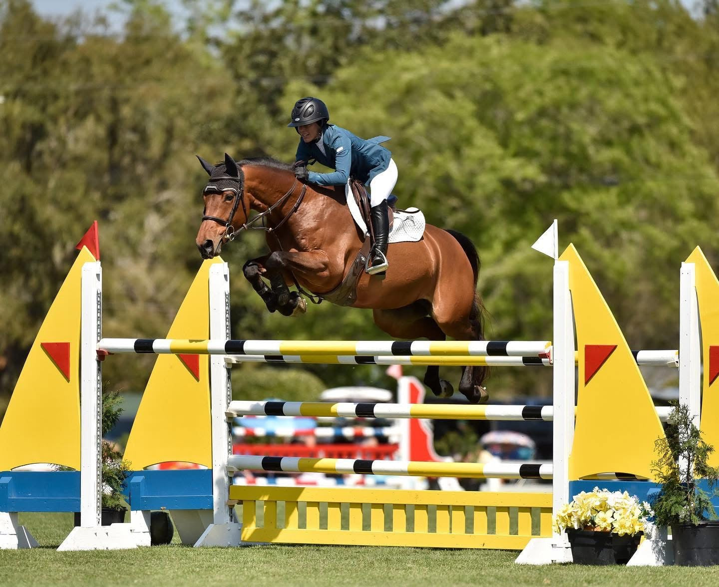 Horse and rider jumping over an obstacle in competition