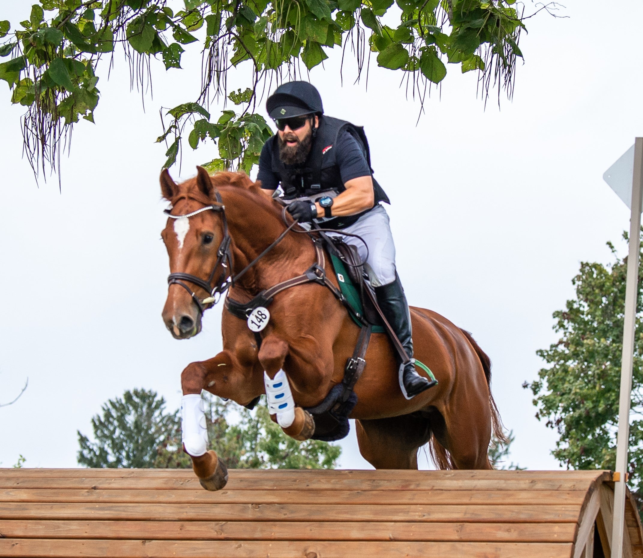 Horse and rider jumping over an obstacle in an equestrian setting