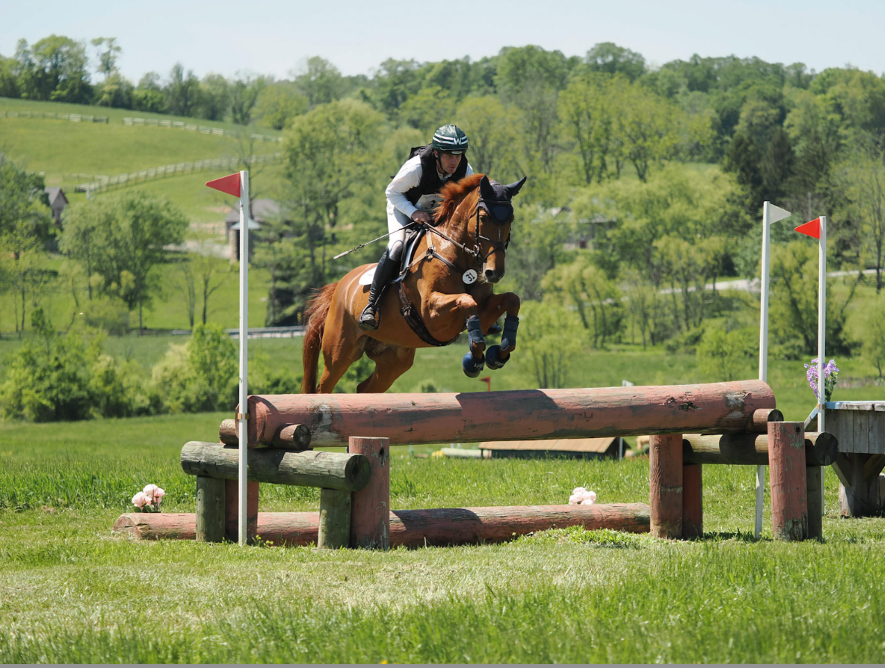 Horse and rider jumping over a log obstacle in an equestrian setting with flags and greenery.