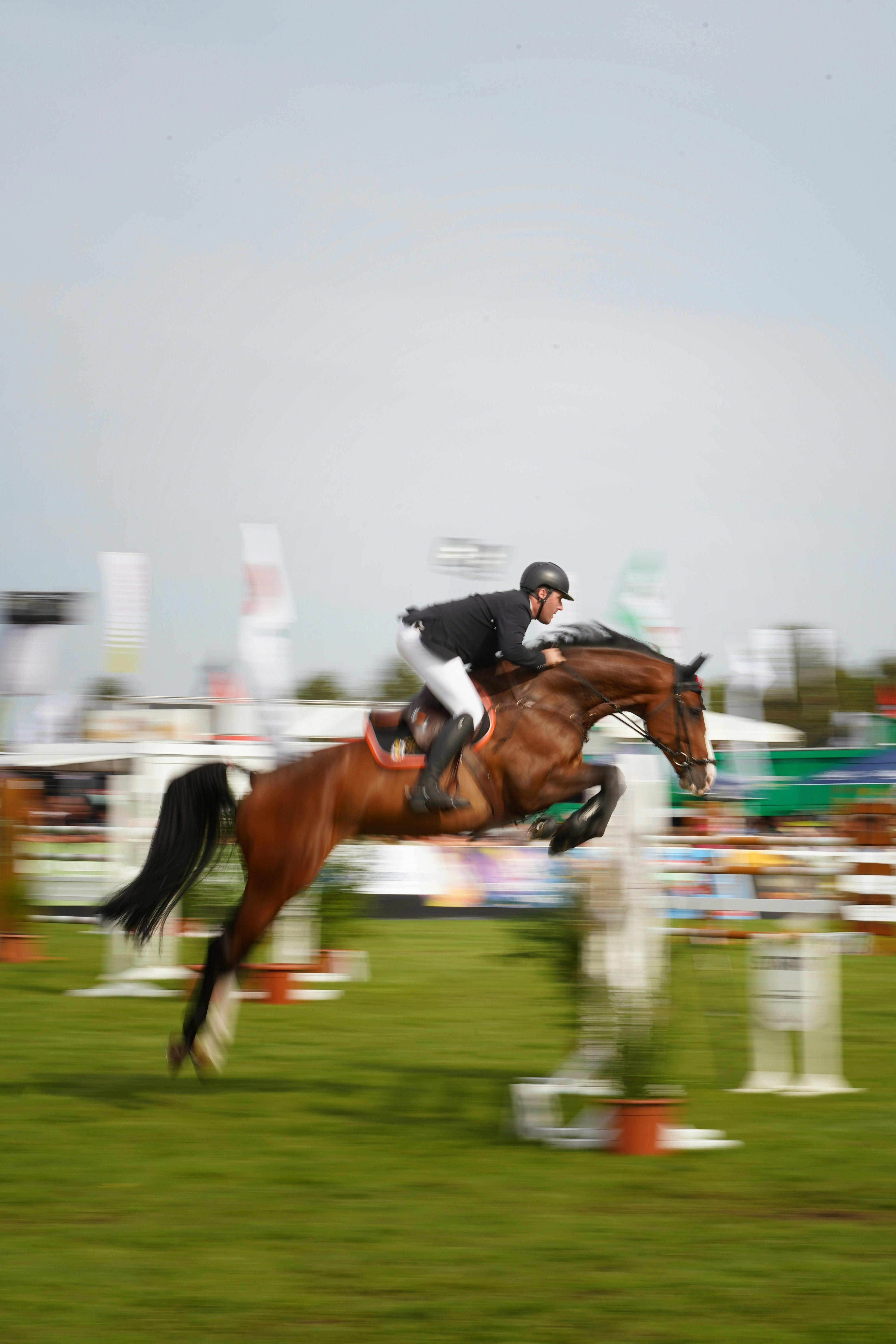 Horse and rider jumping over an obstacle in equestrian competition with blurred background