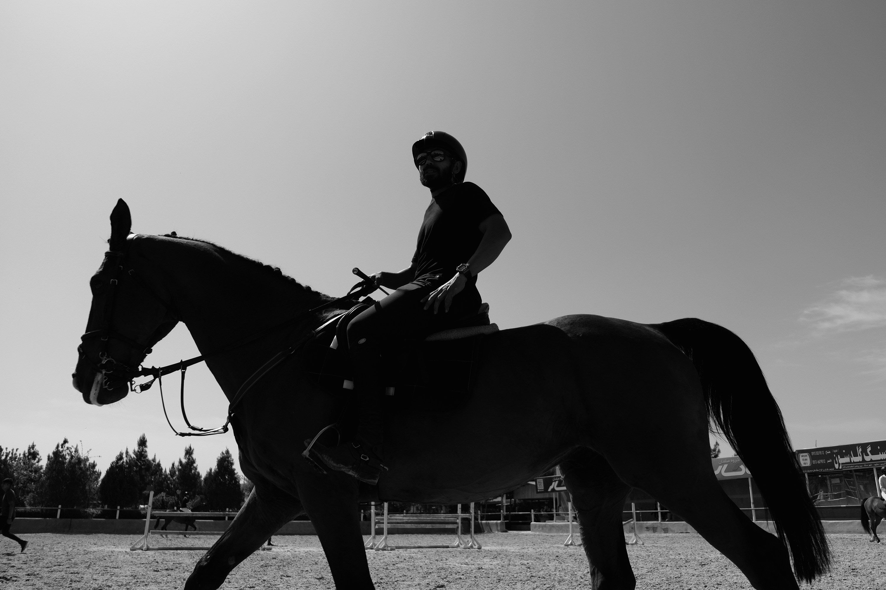 Silhouette of a person riding a horse against a clear sky