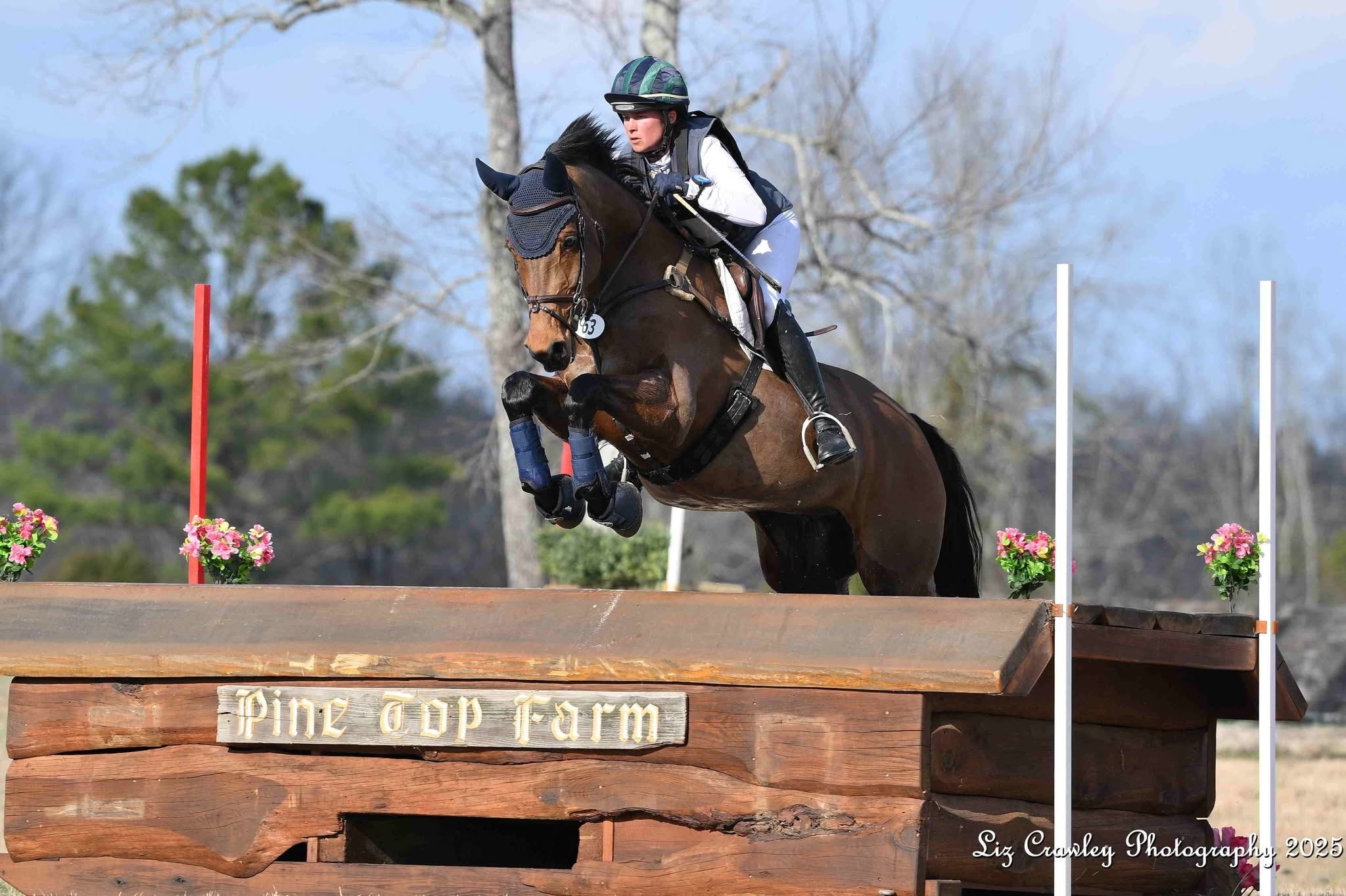 Horse and rider jumping over an obstacle in an equestrian setting