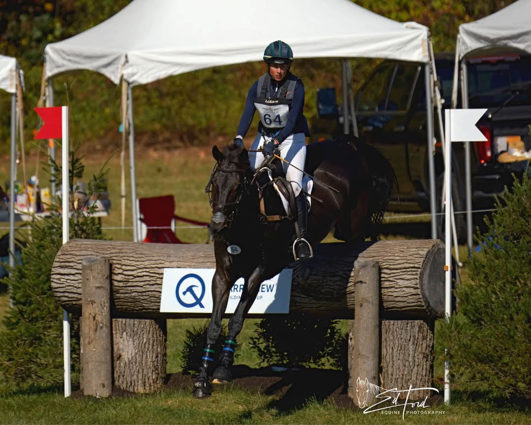 Horse and rider jumping over a log obstacle in an equestrian setting